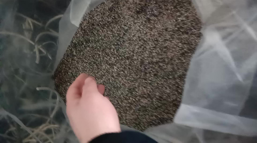 Cable PVC plastic 30004