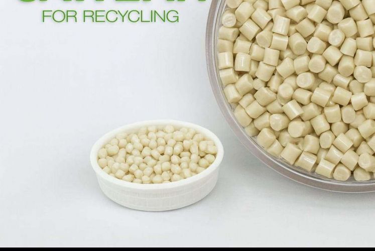 Repro PET CHIPS  36982