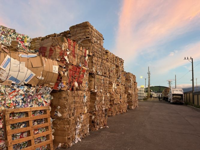 OCC BALES CARDBOARD 37072