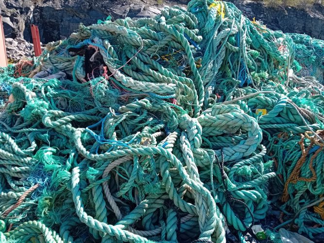 PP  Ropes  37602