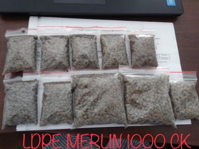 LDPE Transparent/Honey  export China 3048