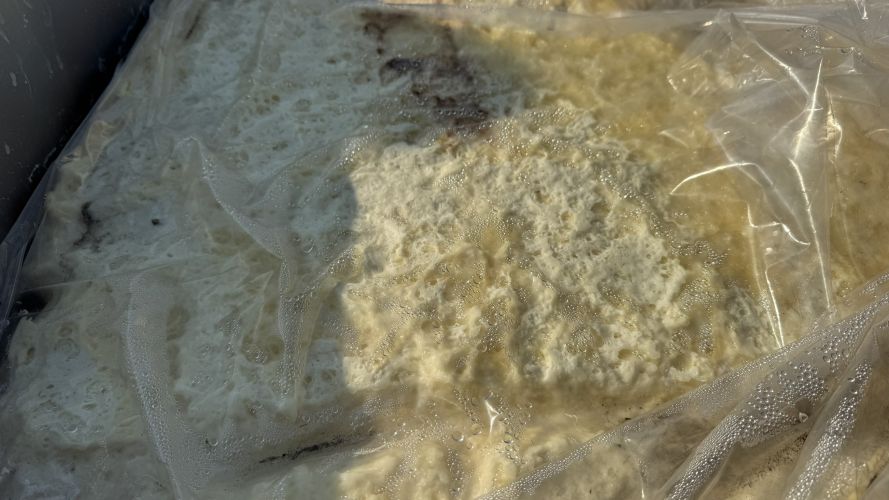 SYNTHETIC ISOPRENE RUBBER  37042