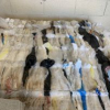Plastic Film  - photo