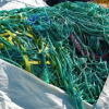 PP  Ropes  - photo