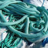 PP  Ropes  - photo