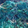 PP  Ropes  - photo
