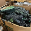 nylon 6,69  and GF nylon 66 purge - photo