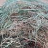 PET Side cutting Scrap - photo