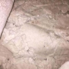 PTA SLURRY - photo