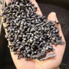 pvc granuels  - photo