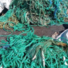 PP  Ropes  - photo
