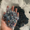 PET CRUSHED  - photo