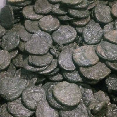 Goni gattu - PP for sale on Scrapo