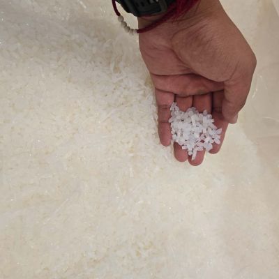 PA66. start up reject grade (clean Pellets/Strand)  - Nylon (PA) for sale on Scrapo