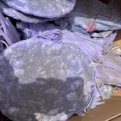 LDPE Purge  - LDPE for sale on Scrapo