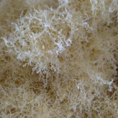 HDPE Drilling west - HDPE  for sale on Scrapo