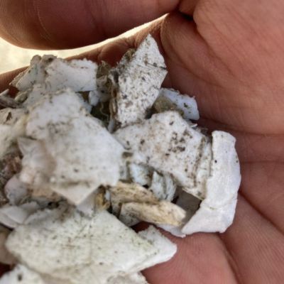 ppcp bucket - PP for sale on Scrapo