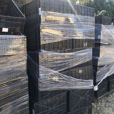 Plastic crates - PP for sale on Scrapo