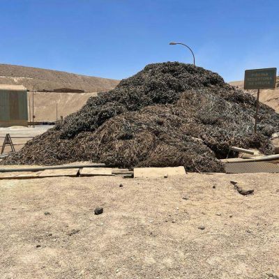 LDPE TRITURADO - LDPE for sale on Scrapo