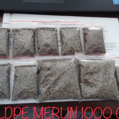 LDPE Transparent/Honey  export China - LDPE for sale on Scrapo
