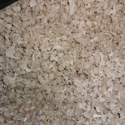 Big bag washed and densified  - PP for sale on Scrapo